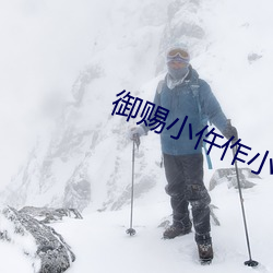 御赐小仵作小说 （无政府主义）