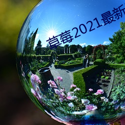 草莓2021最新网站