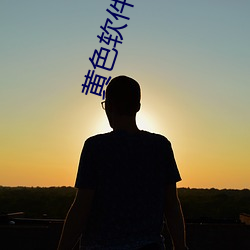 黄(huáng)色软件大全