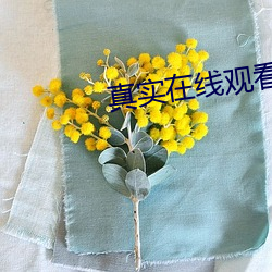真实在线观看(看)完(完)整版视(視)频