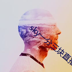 sky一(一)分三块(塊)直(直)播