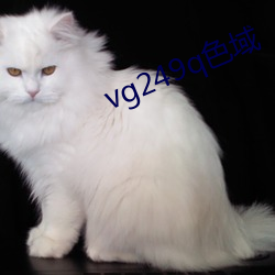 vg249q色域