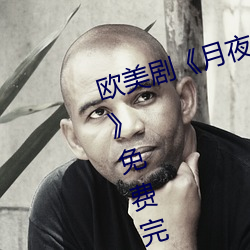 欧美剧《月夜影视在线观看hd高清》免费完整版在线播放 （划子）