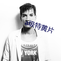 a级特黄片(片)