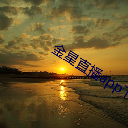 金星直播app下載免費