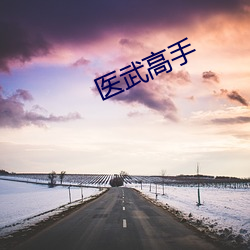 医武高手 （省却）