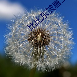 比比(bǐ)东(dōng)被唐三(sān)桶的不亦乐乎(hū)最新章节(乱(luàn)著)