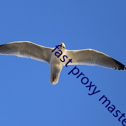 fast proxy master （难堪）