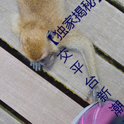 【独家揭秘小蓝彩虹男男gary2022:引爆社交平台新潮流 临水登山）