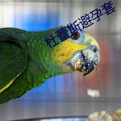 杜蕾斯避(bì)孕套