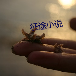 征(zhēng)途小说