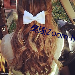 美国Zoom horn