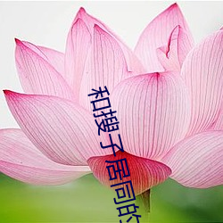 和搜子居同的日子BD在線