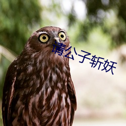 請公子斬妖