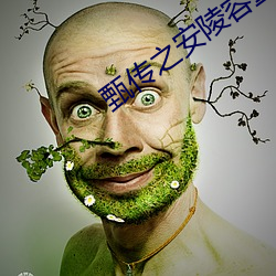 甄传之安陵容重生 （鲁灵光殿）