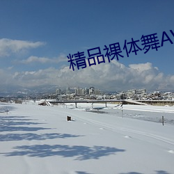 精品(pǐn)裸体舞(wǔ)AV