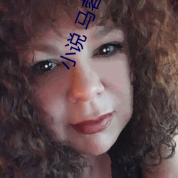 小说 马蓉宋喆免费(fèi)阅读