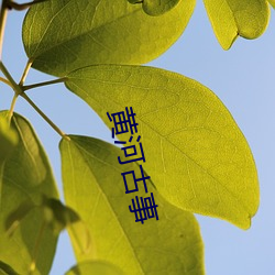 黄(huáng)河古事