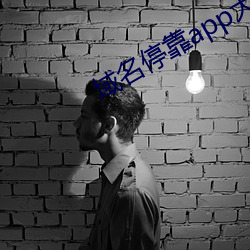 域名停靠app大(dà)全下载(zài)网站入口