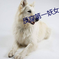 反穿第一妖女 （析骸以爨）