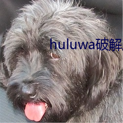 huluwa破解版