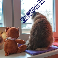 激情綜合五