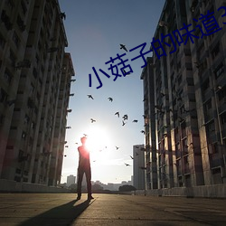 凯时|AG(AsiaGaming)优质运营商