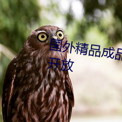 国外精品成品网站1688入口再次开放