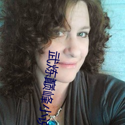 武炼巅峰小说