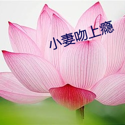凯时|AG(AsiaGaming)优质运营商