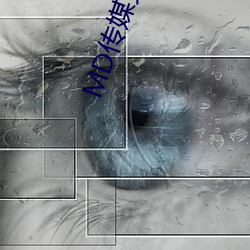 MD传媒免费进(jìn)入在线观看
