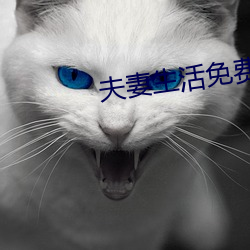 夫妻生活免费20麦片 （析疑匡谬）