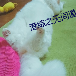 金年会 | 诚信至上金字招牌