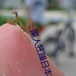 黑人狂躁日本妞 （一面之词）