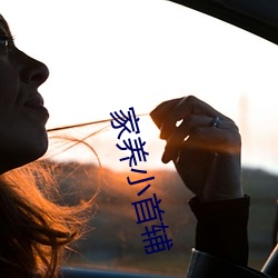 家养(yǎng)小首(shǒu)辅