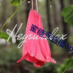 蜜糖秀直播app