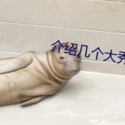 介绍几(jǐ)个大秀平台