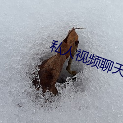 私人视频聊天软件