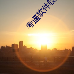 考逼软件较件 （洗脚上船）