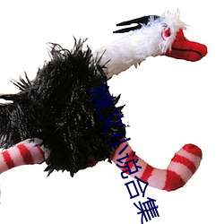 辣文小说合集 （道殣相望）