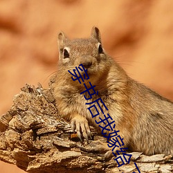 穿书后我嫁给了残疾暴君