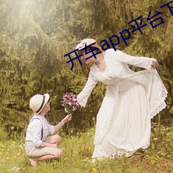 開車app平台下載