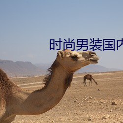 時尚男裝國內排名