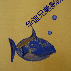 华谊兄弟影院影讯