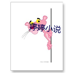 婷婷小說