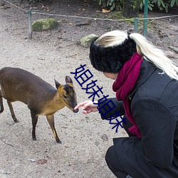 姐妹姐妹