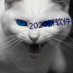 2020新软件附近约约