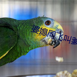 婆媳同飞叫爹txt （植发冲冠）