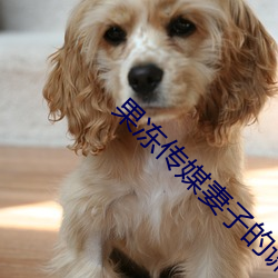 尊龙凯时-人生就是搏!