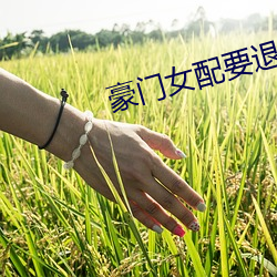 豪门女配要退婚
